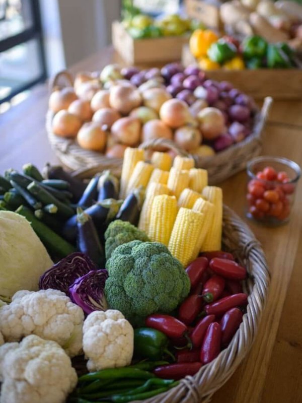 Vegetable table selective focus. Range of Vegetables on a table with corn on the cob, egg fruit aubergine, tomatoes, butternuts, cabbage, baby marrows, courgette, onions and peppers in baskets